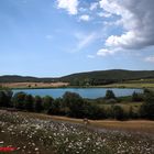 Lago D'accesa (Massa Marittima)