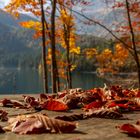 Lago d'autunno