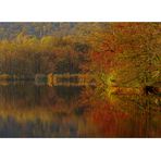 LAGO D'AUTUNNO # 3