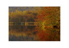 LAGO D'AUTUNNO # 3