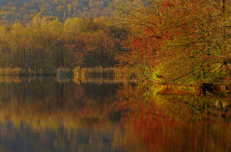 LAGO D'AUTUNNO # 3 SENZA CORNICE