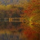 LAGO D'AUTUNNO # 3 SENZA CORNICE