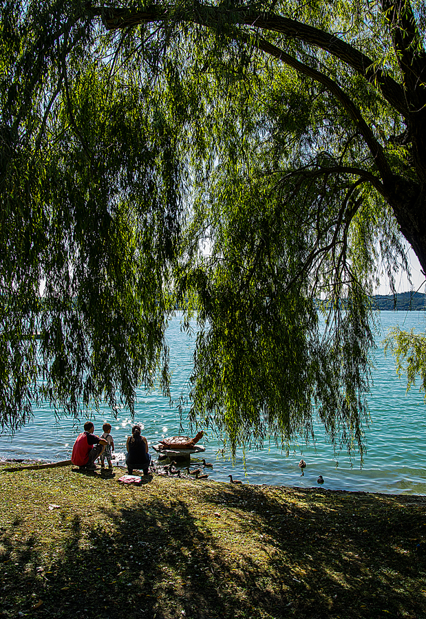 LAGO D'AUTUNNO # 4