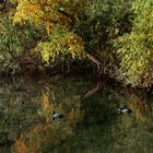 LAGO D'AUTUNNO # 6