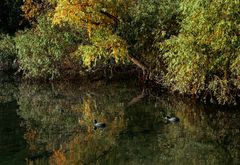 LAGO D'AUTUNNO # 6