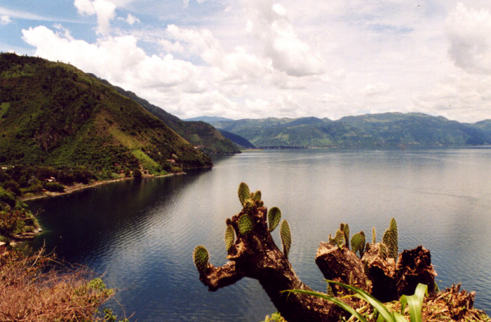 Lago de Atitlàn con cactus