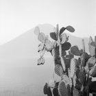 Lago de Atitlán - Guatemala