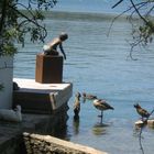 Lago de Banyoles