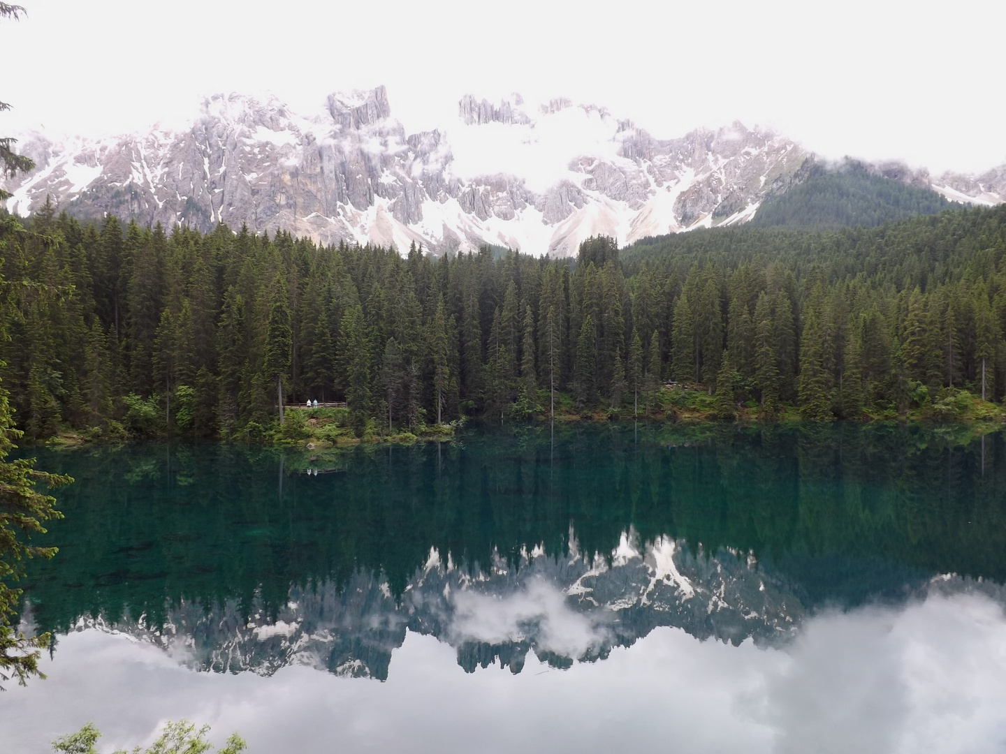 Lago de Carezza ( Dolomites )