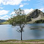 Lago de Enol