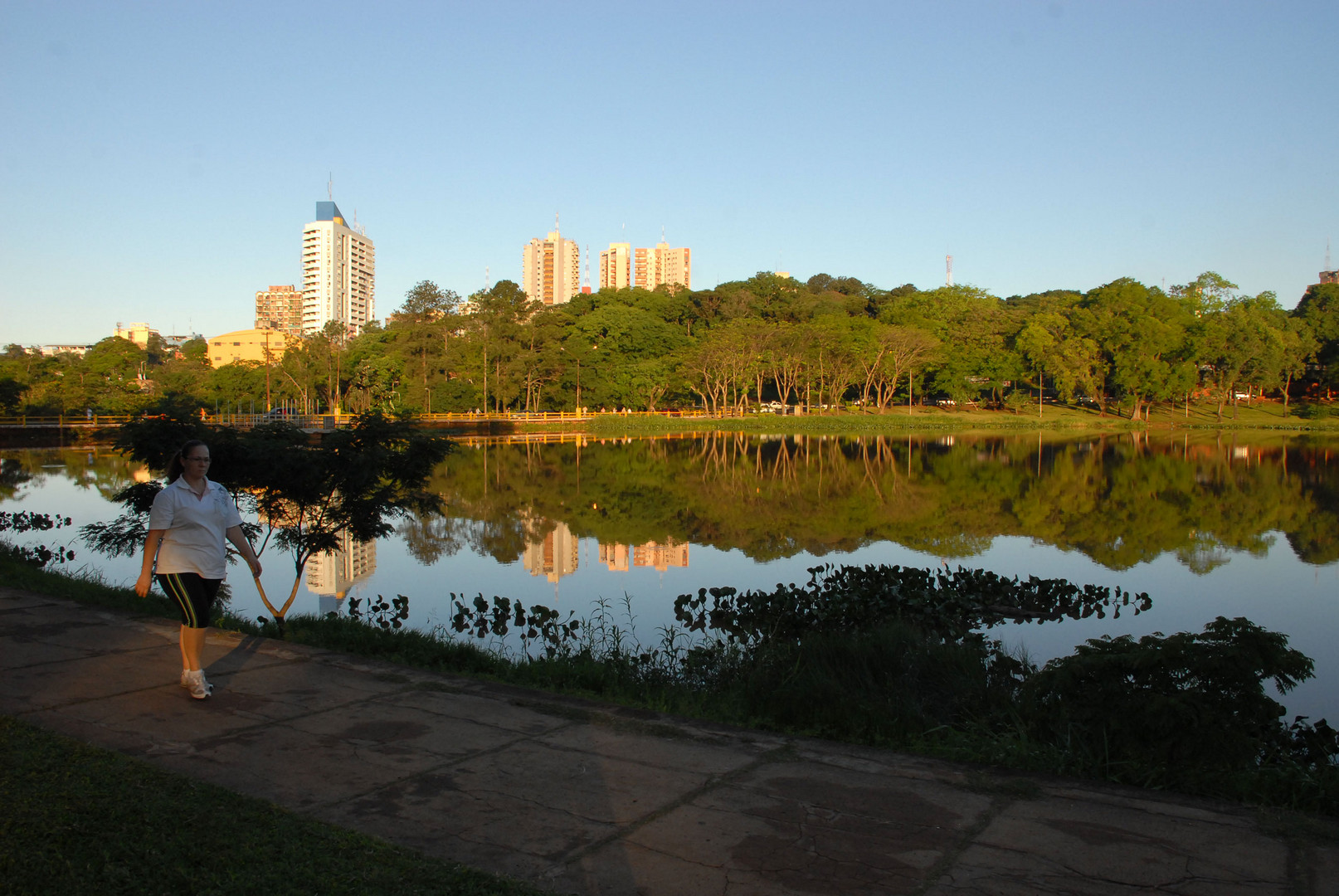 Lago de la República al atardecer