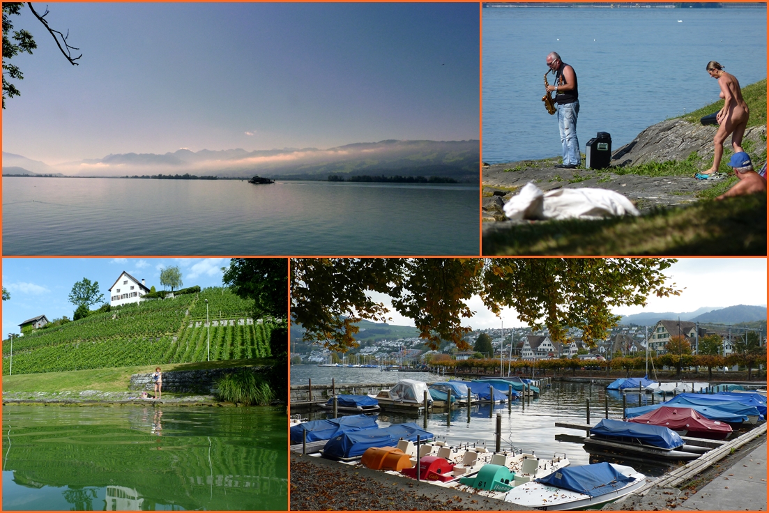 Lago de / Lac de / See von Zürich..01