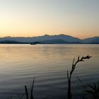 Lago de / Lac de / Zürichsee...01