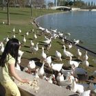 lago de los patos en leganes