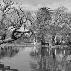 LAGO DE PALERMO 