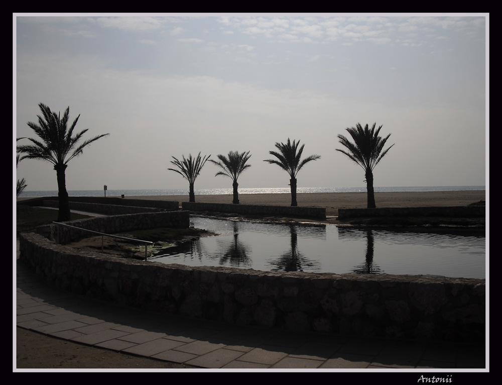 Lago de Palmeras