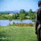 Lago de Platja d'aro (Girona)