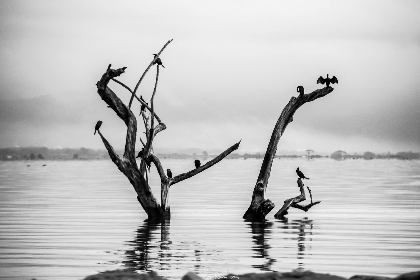 LAGO DE VALENCIA