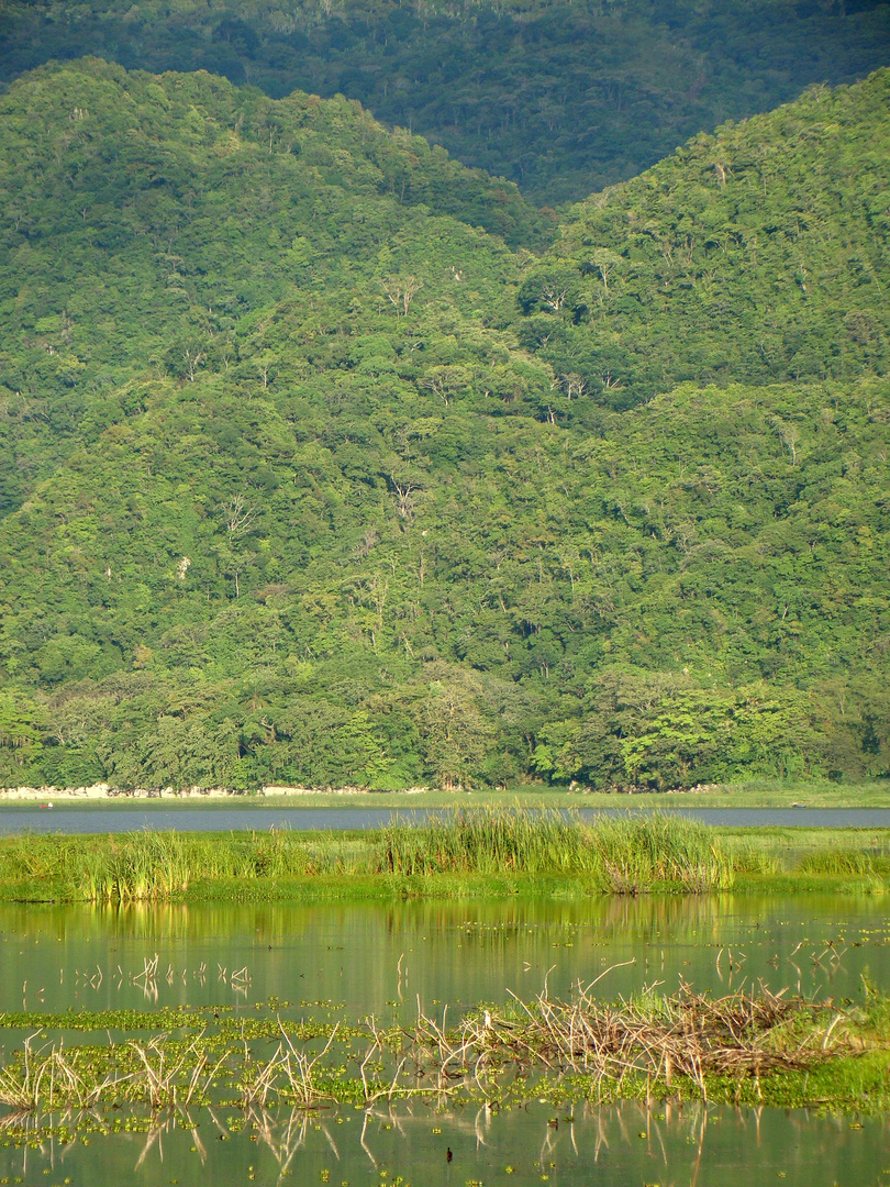 Lago de Yojoa , Honduras