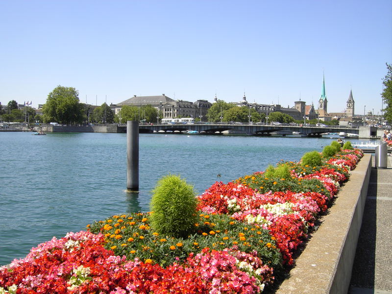 Lago de Zürich