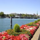 Lago de Zürich