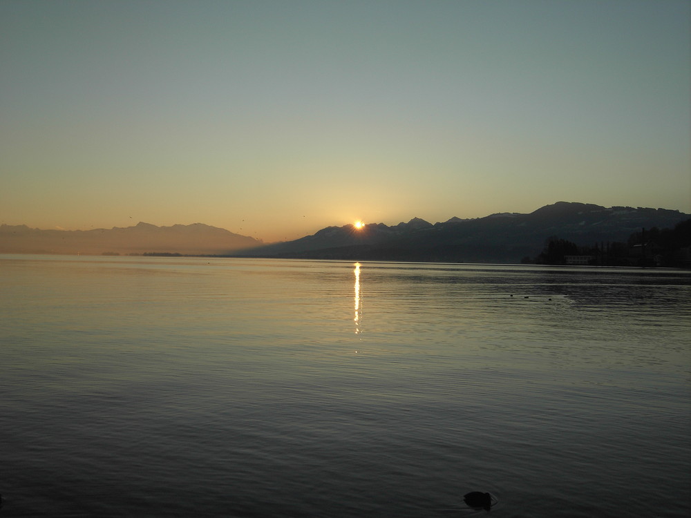 Lago de Zurich