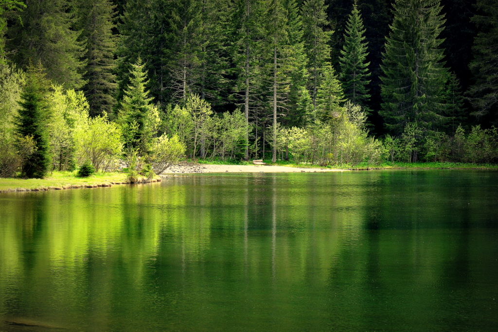 Lago dei Caprioli