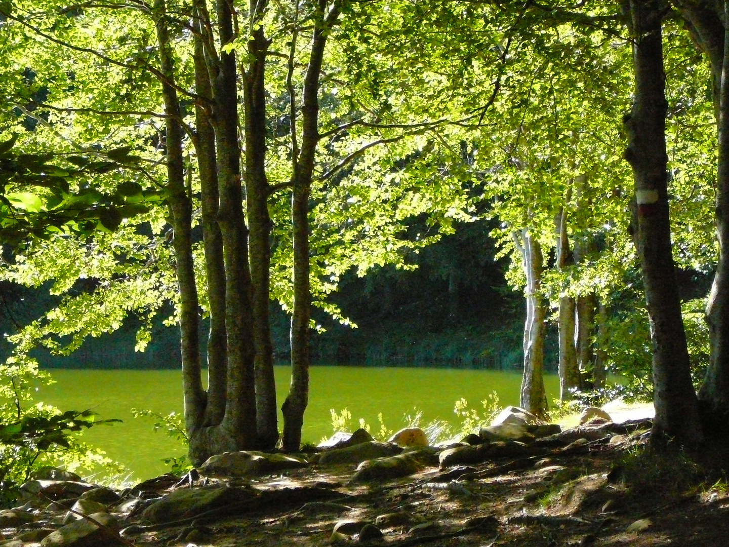 lago del Cerreto