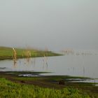 Lago del Dique Paso Piedra