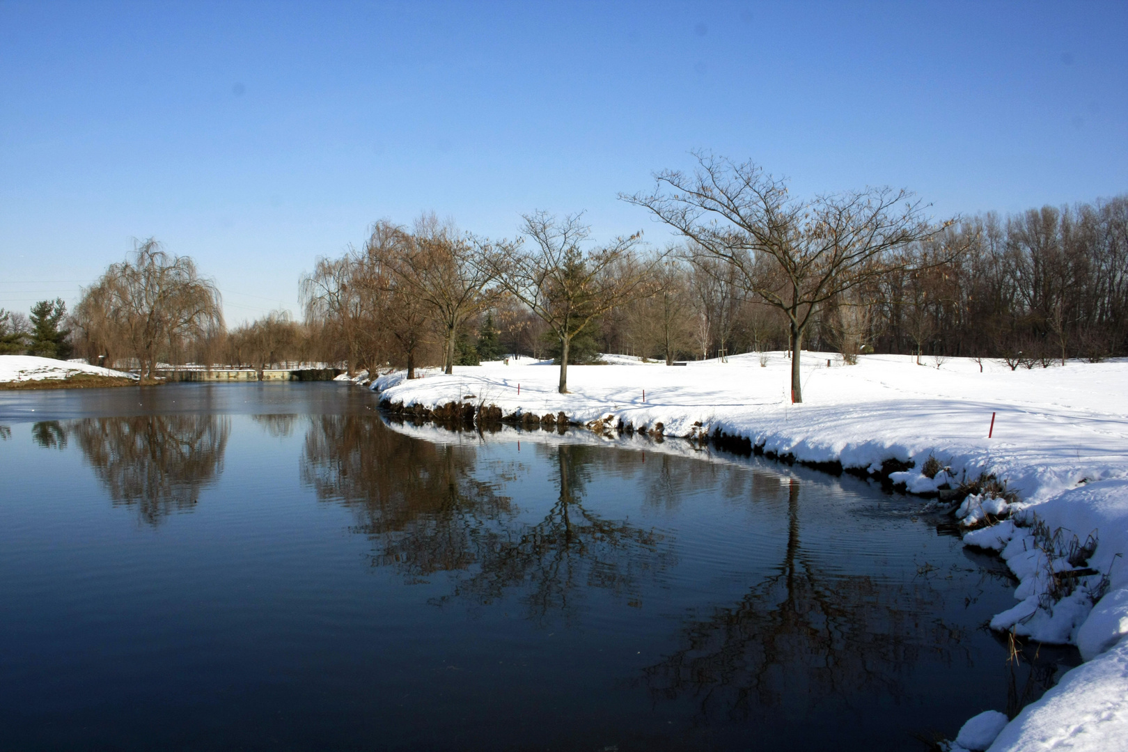 Lago del golf