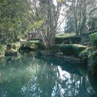 Lago del Jardi BotanicoX