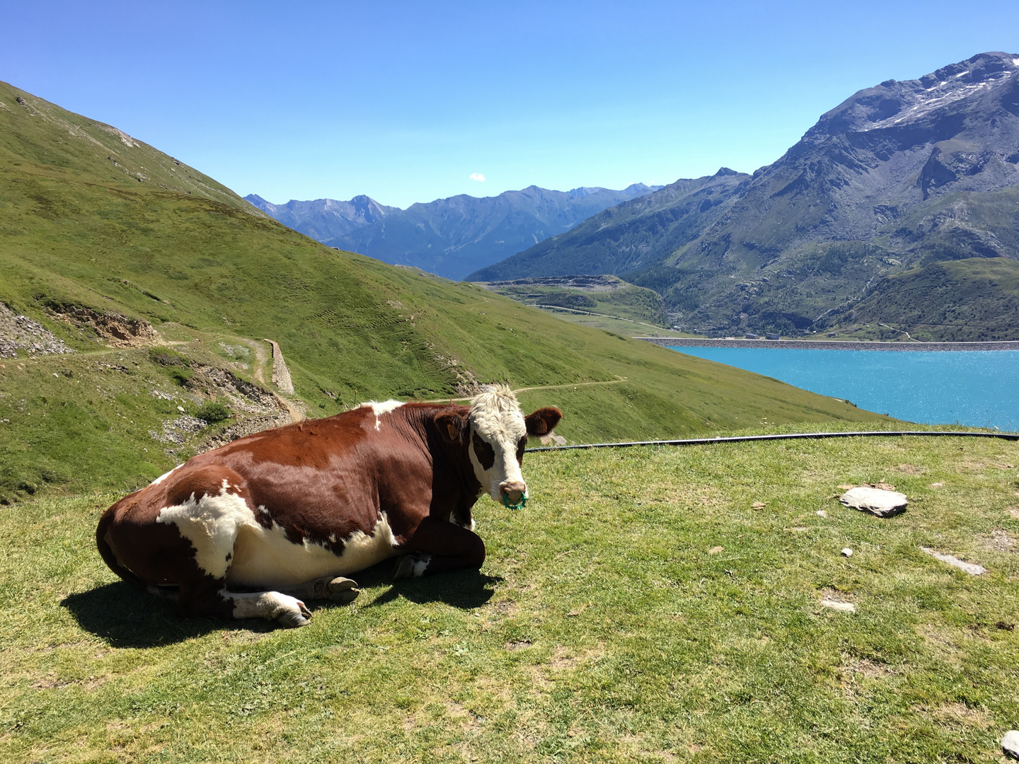 Lago del Moncenisio 5