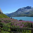 Lago del Moncenisio ( Savoia) 2