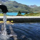 Lago del Moncenisio (Savoia) 