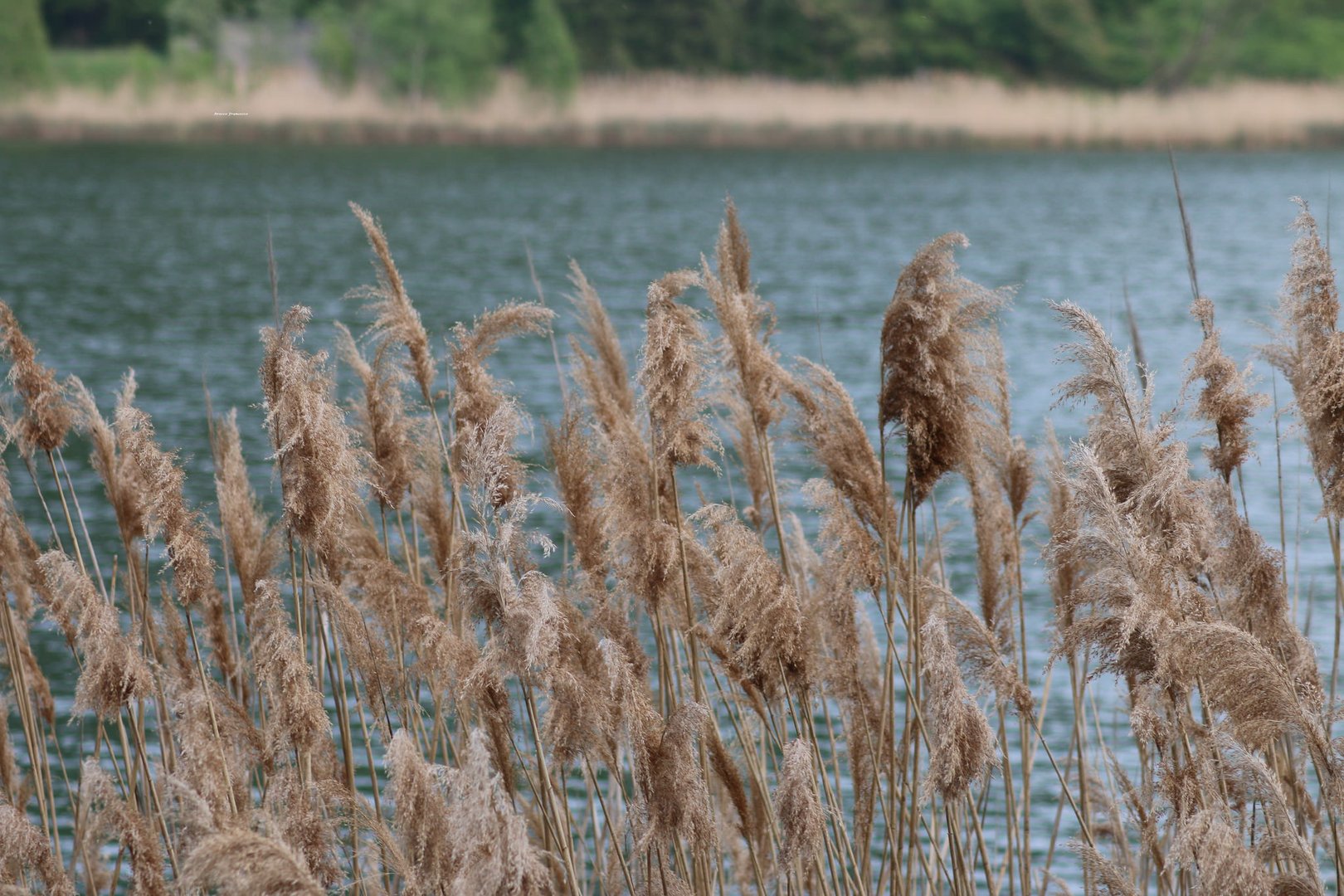 Lago del Segrino