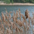 Lago del Segrino