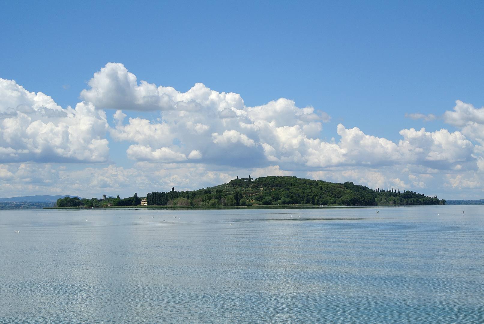 Lago del Transimeno