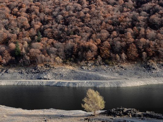 Lago Delio, Maccagno