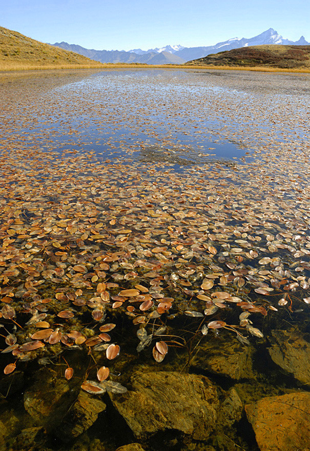 Lago delle Foglie