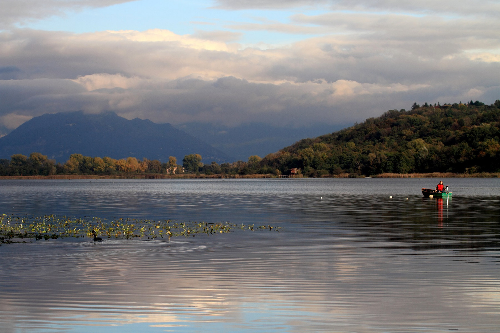 Lago di Alserio, nella bella Brianza