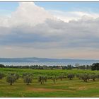 Lago di Bolsena - Abendstimmung 2