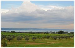 Lago di Bolsena - Abendstimmung 2