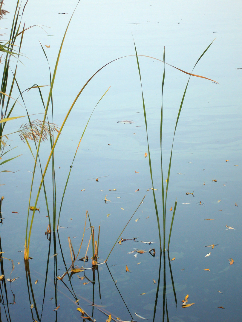 Lago di Candia - 2