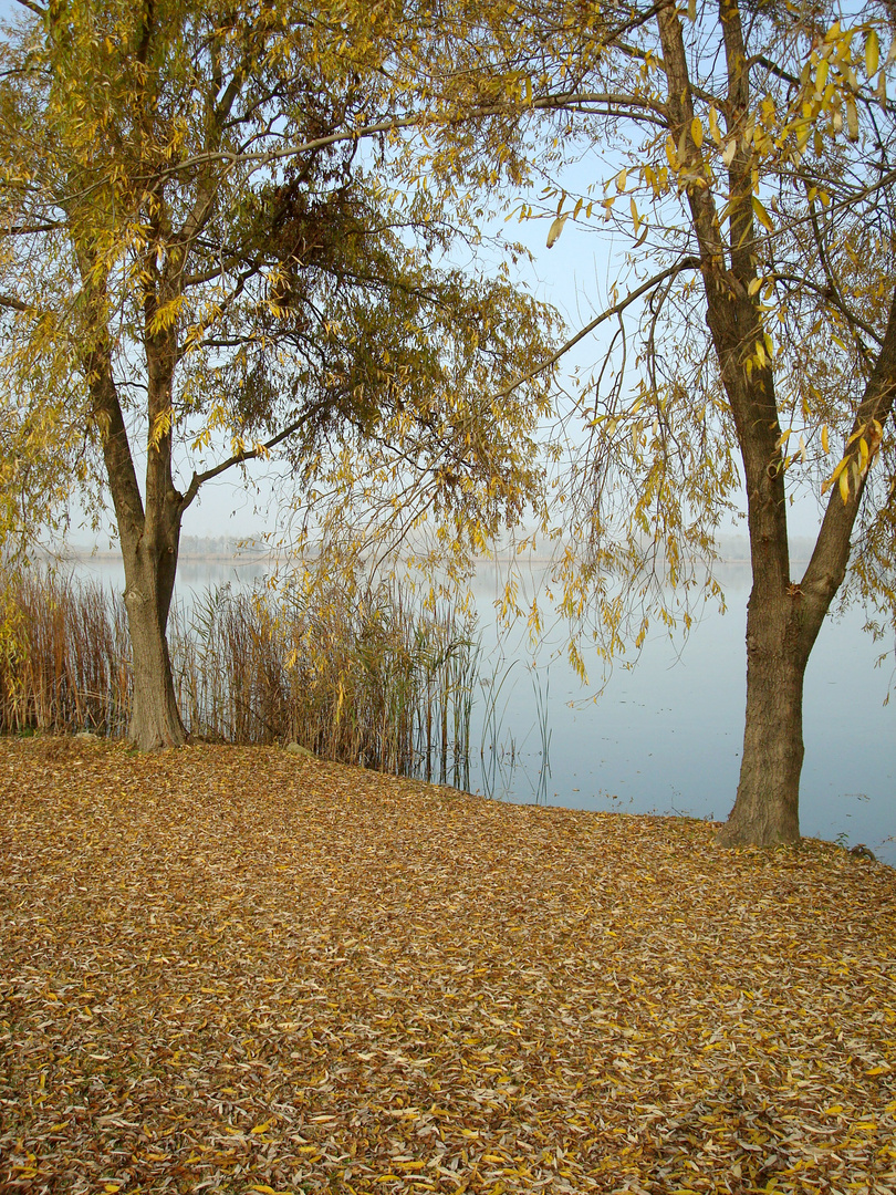 Lago di Candia - 3