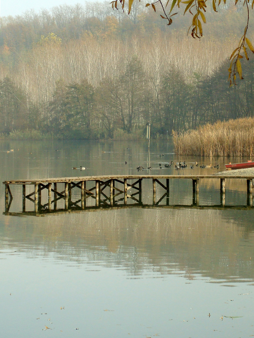 Lago di Candia - 4