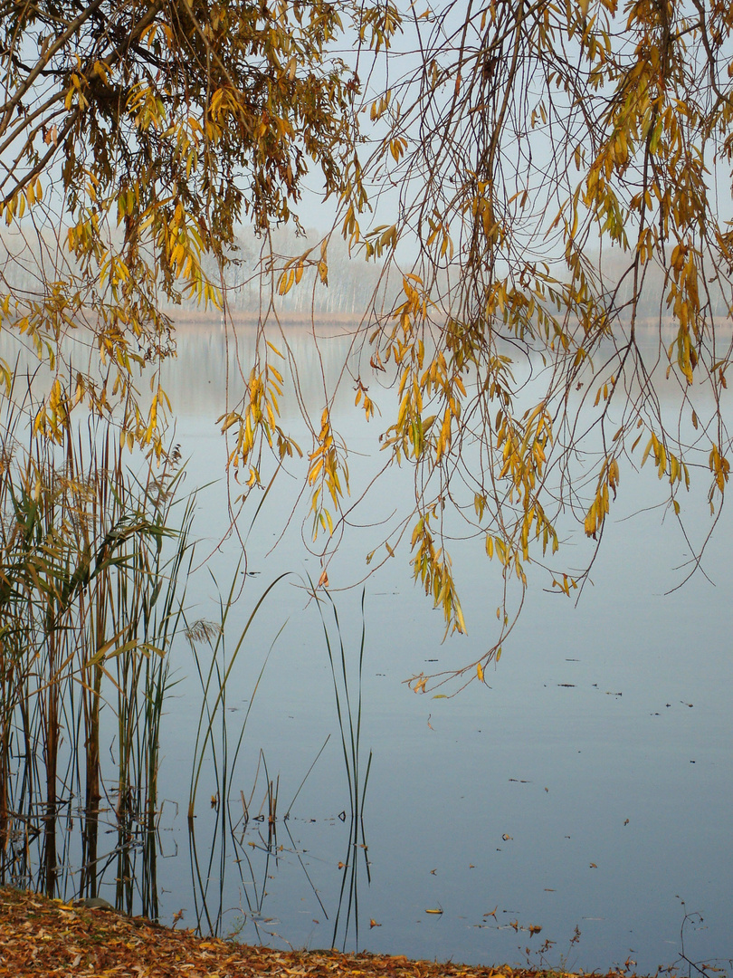 Lago di Candia