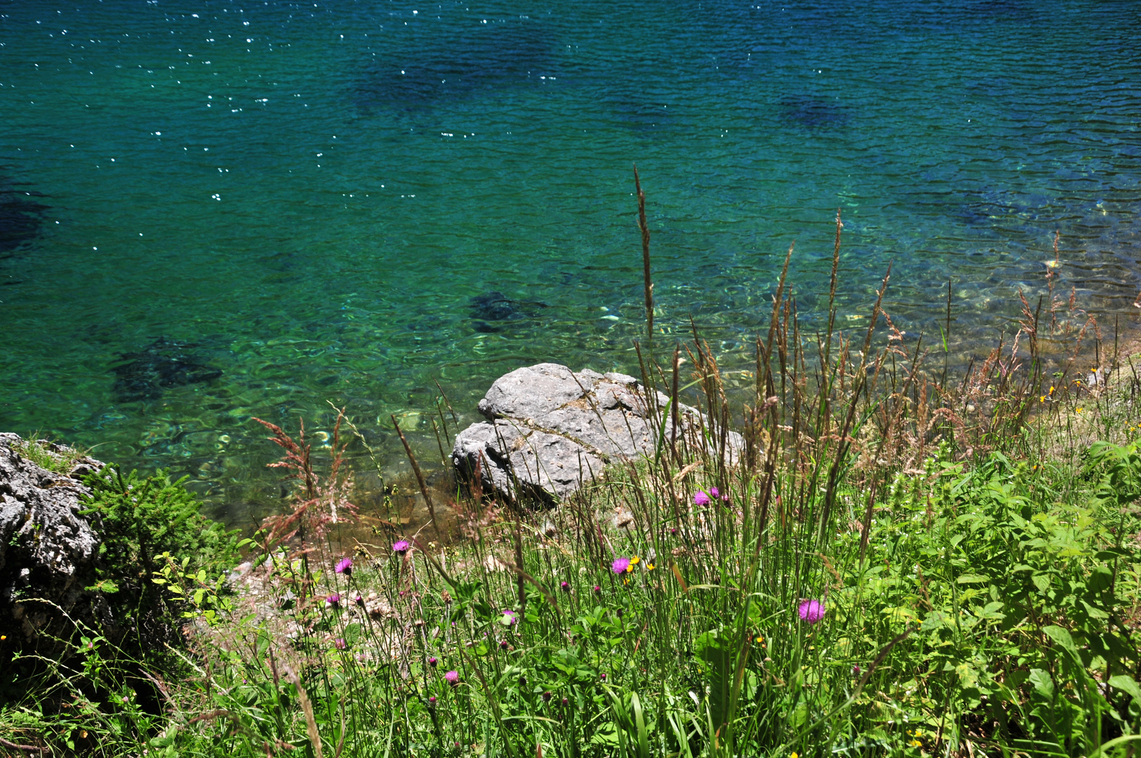 Lago di Carezza 7