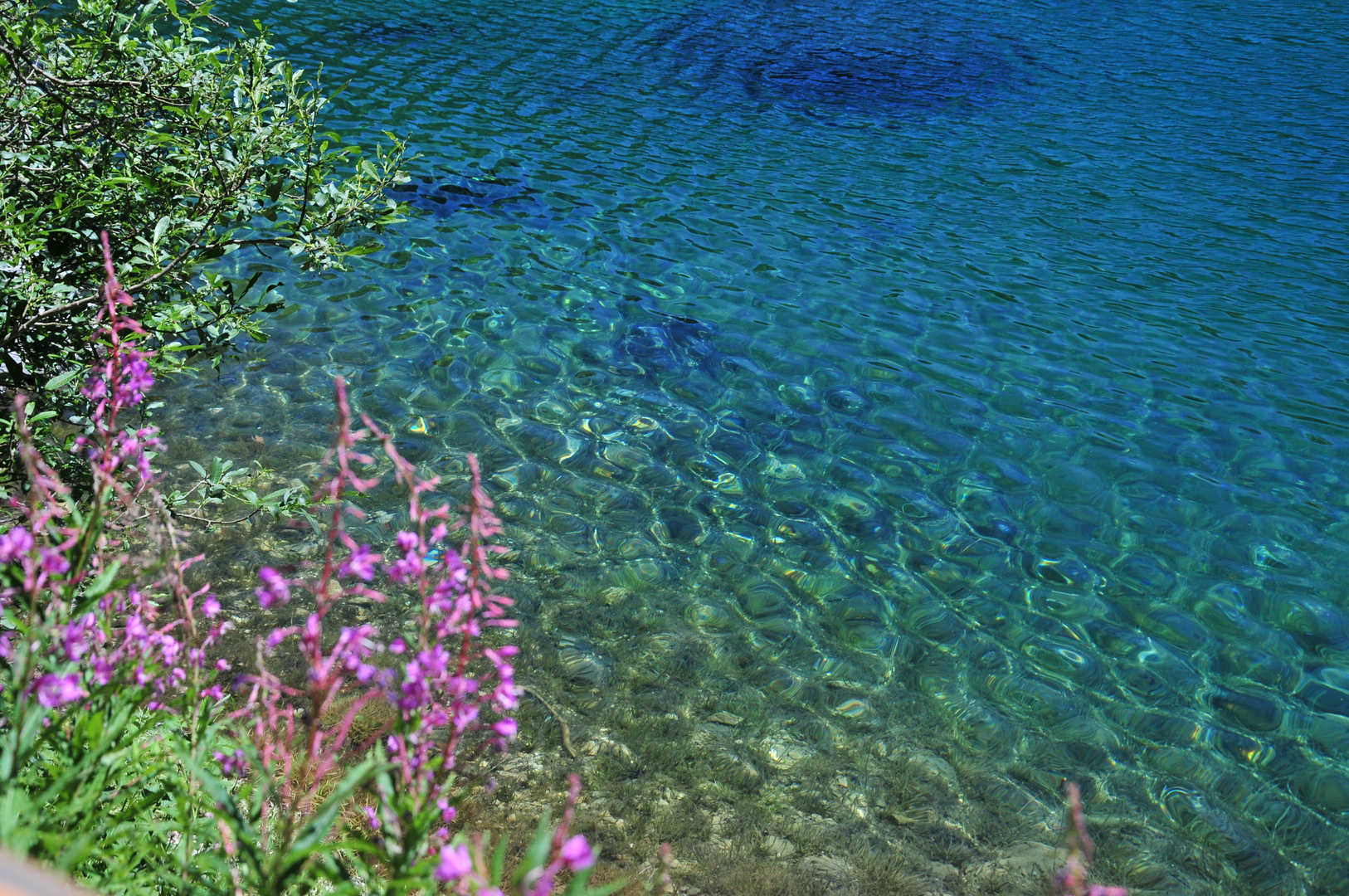 Lago di Carezza 9