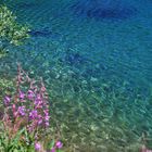 Lago di Carezza 9