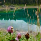 Lago di Carezza - Karer See 1